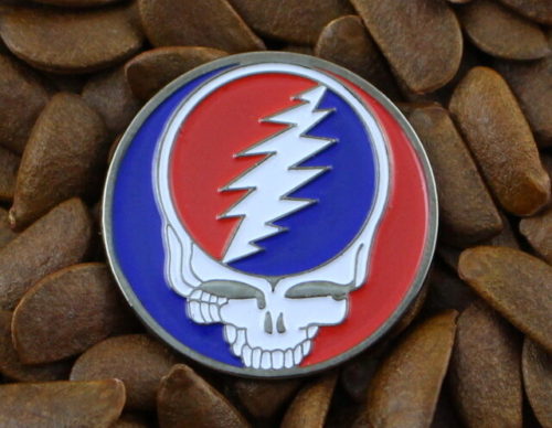 Grateful Dead Pins Steal Your Face Pin